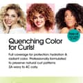 All About Curls 1b Twilight Twirl Permanent Hair Color 100% Grey Coverage - Thumbnail 2