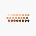 (12-pack) Beauty Creations Flawless Stay Foundation Fs9.0 - Thumbnail 2