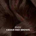 Clairol Professional Beautiful Collection Hair Color 14w Cedar Red Brown . - Thumbnail 3