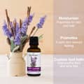 Cococare 100% Lavender Oil Essential Oil From Lavender Flowers for Skin and - Thumbnail 3