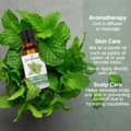 Cococare 100 Percent Peppermint Oil Essential Oil for Aromatherapy 1 Fl Oz - Thumbnail 3