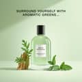 David Beckham Aromatic Greens 3.3 Fl Oz Notes of Lemon Green Apple and - Thumbnail 1