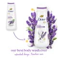 Dove Body Wash Relax Lavender Oil Chamomile for 24hr Lotion Soft Skin - Thumbnail 3