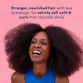 Dove Crown Collection Holistic Hair Care for Coils and Curls Hydration Restore - Thumbnail 2