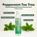 Eden Bodyworks Peppermint Tea Tree Shampoo | Clarifying Shampoo for Curly Hair - Thumbnail 3