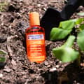 Hollywood Beauty Carrot Hair Oil Bottle Hair Scalp Skin Nail Massage Oil Helps - Thumbnail 3