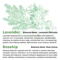 Multiuse Lavender + Rosehip Oil Medley for Face Body and Hair Natural Rosehip - Thumbnail 2