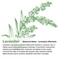 Multiuse Lavender Water Toner Mist for Face Body and Hair Pure Distilled - Thumbnail 3