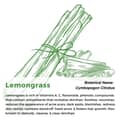 Multiuse Lemongrass Water Toner Mist for Face Body and Hair Pure Distilled - Thumbnail 3