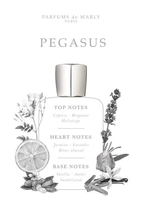 Parfums de Marly Pegasus 4.2 M France 24pcs Bybox EDP