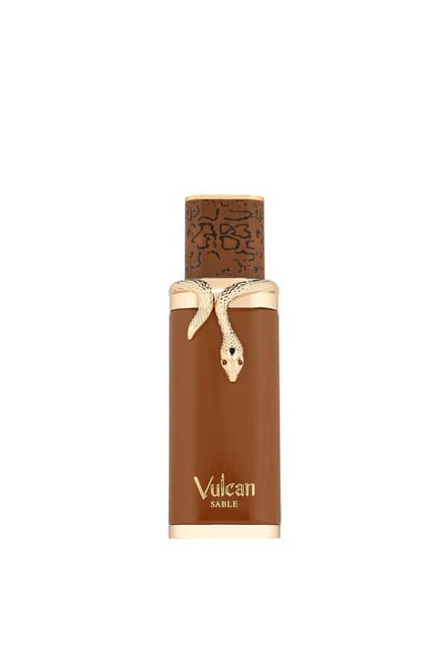 World Vulcan Sable For Men EDP 100 ml
