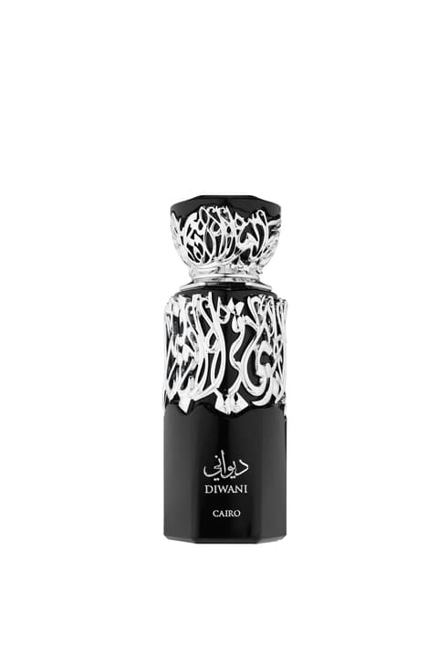 French Avenue Cairo Diwani 3.4 U United Arab Emir. 24pcs Bybox EDP