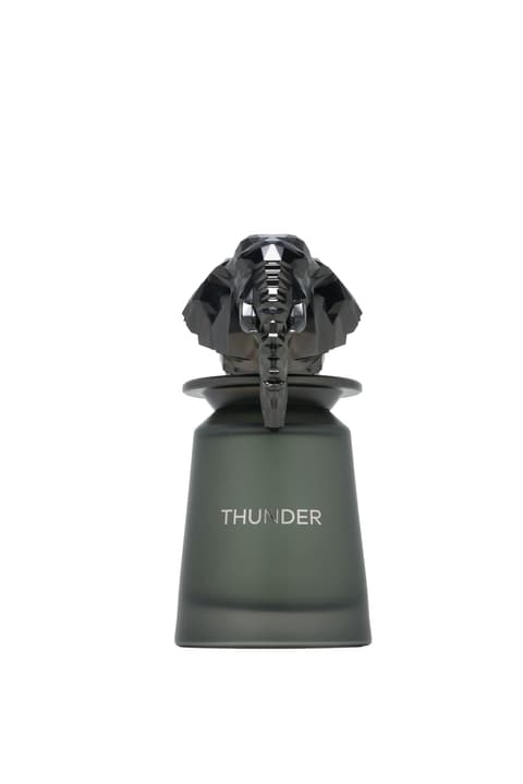 French Avenue Thunder 3.4 U United Arab Emir. 24pcs Bybox EDP
