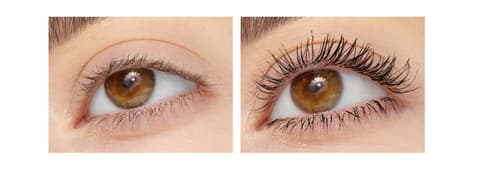(18-pack) L.A. Girl Plush Lash Mascara, Plush Lash Mascara GMS658