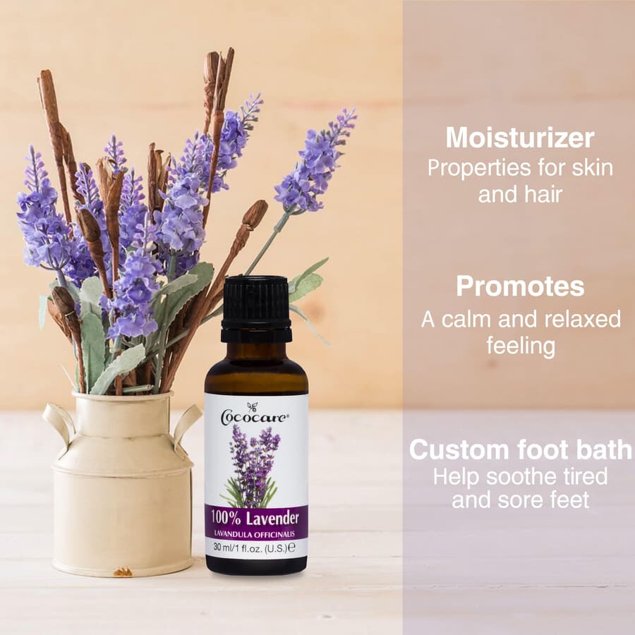 Cococare 100% Lavender Oil Essential Oil From Lavender Flowers for Skin and