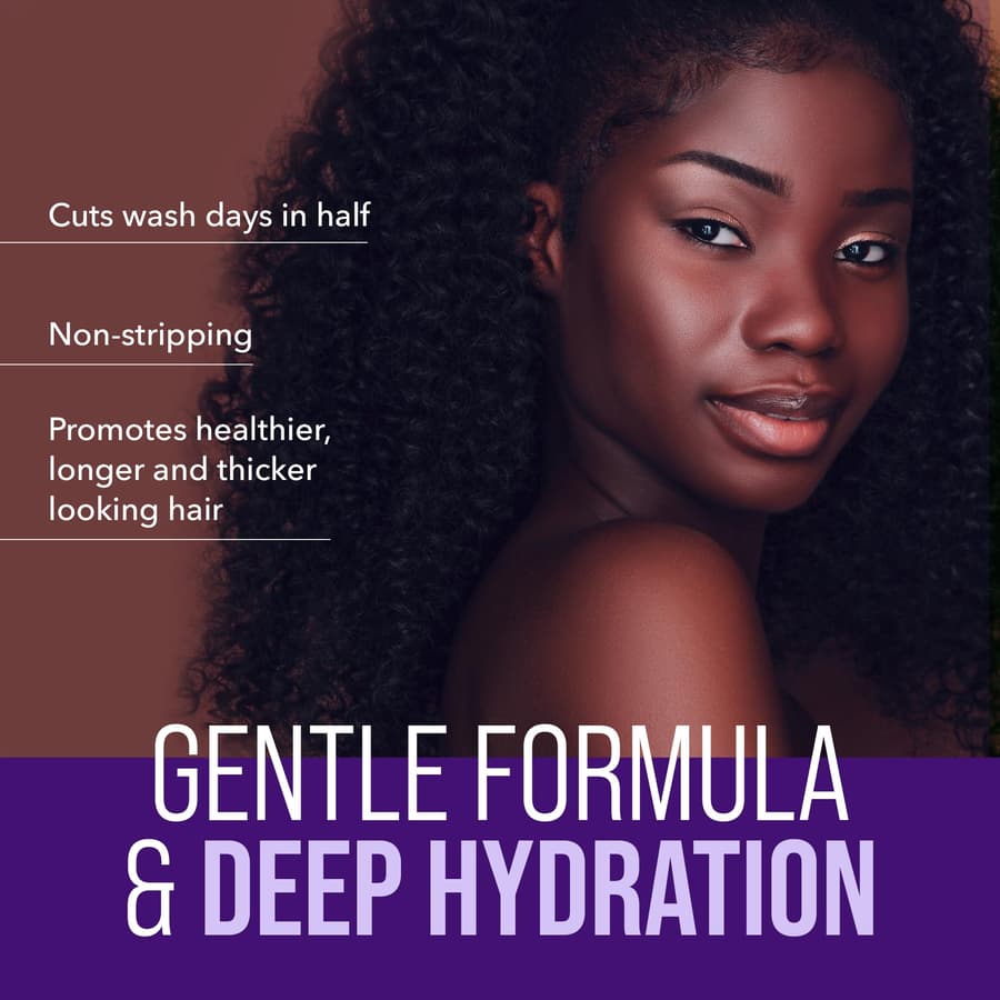 The Mane Choice the Alpha Easy On the Curls Detangling Hydration Shampoo Gentle
