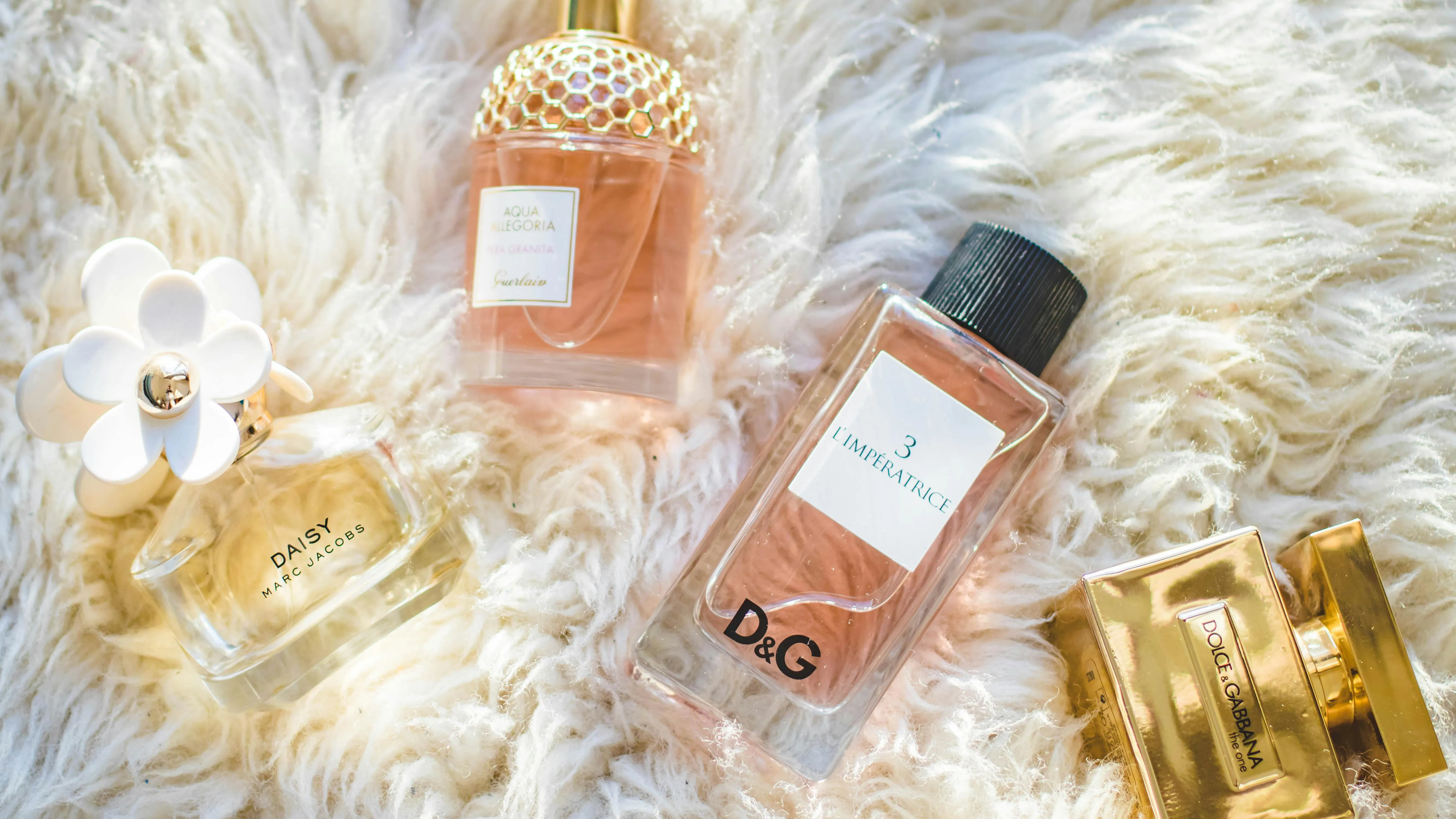 Perfumes & Fragances