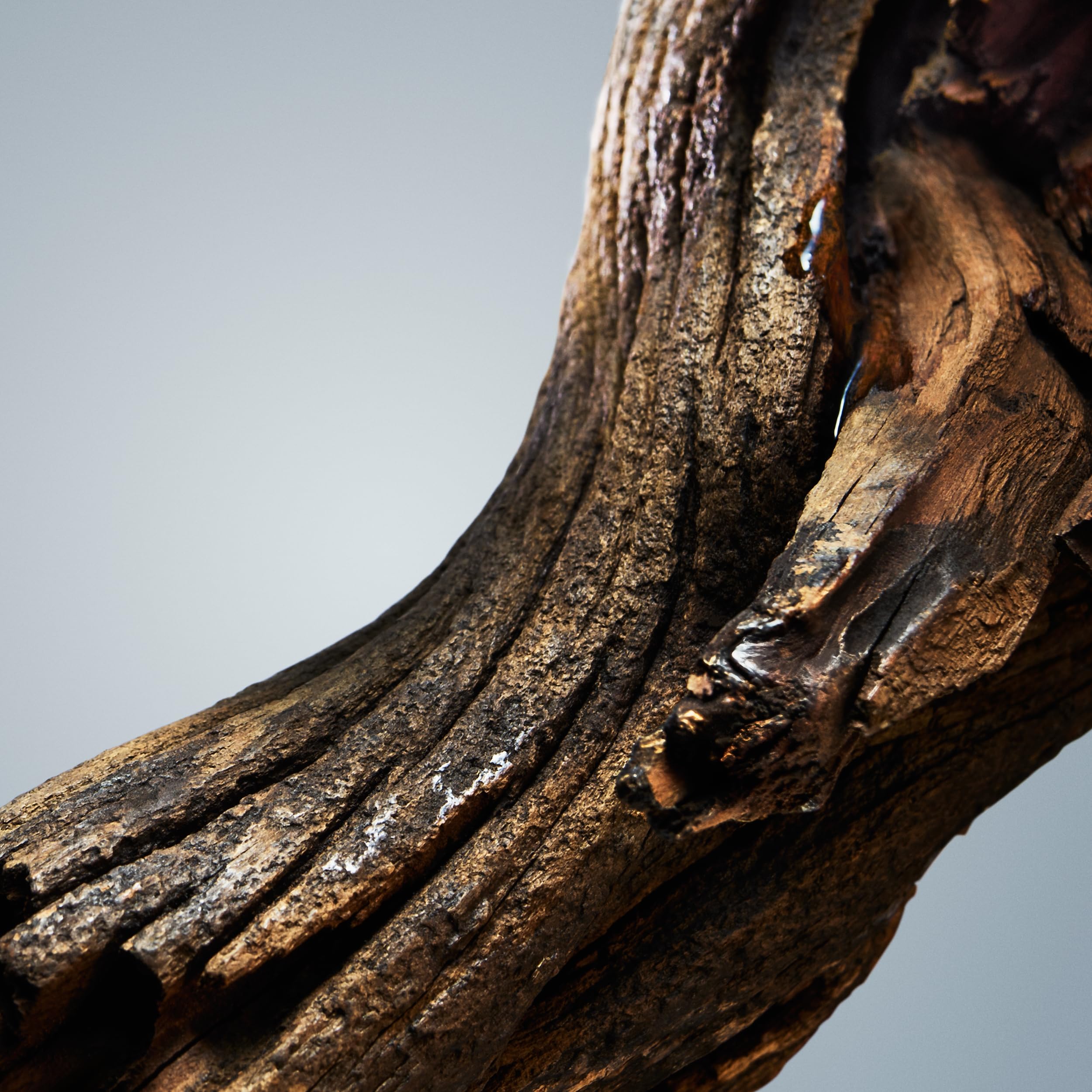 [Deodorant] Hugo Boss Boss Bottled Deodorant Stick With Notes of Apple Cardamom Vetiver . - Thumbnail 2