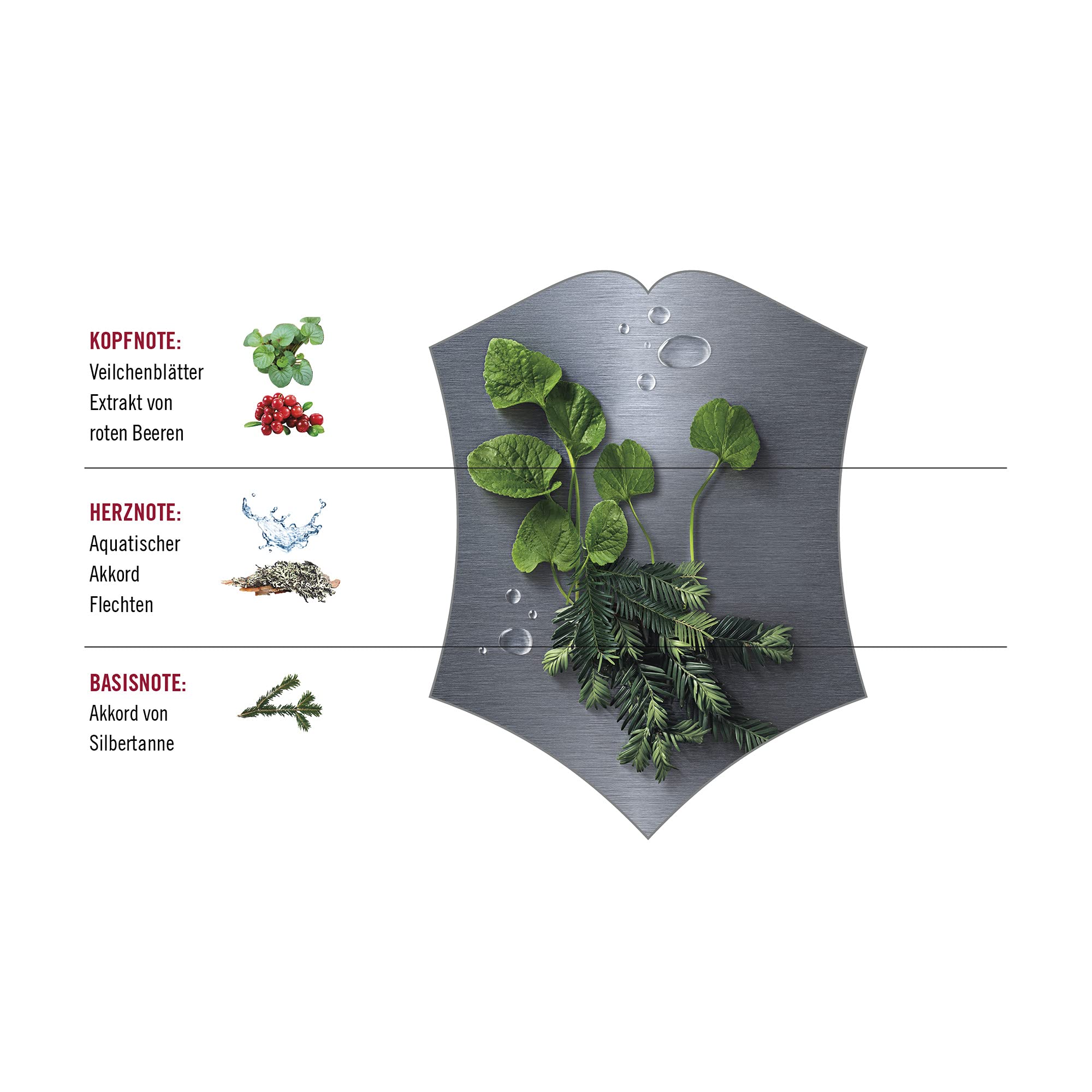 Swiss Army Steel 3.4 M Switzerland 48pcs Bybox EDT - Thumbnail 2