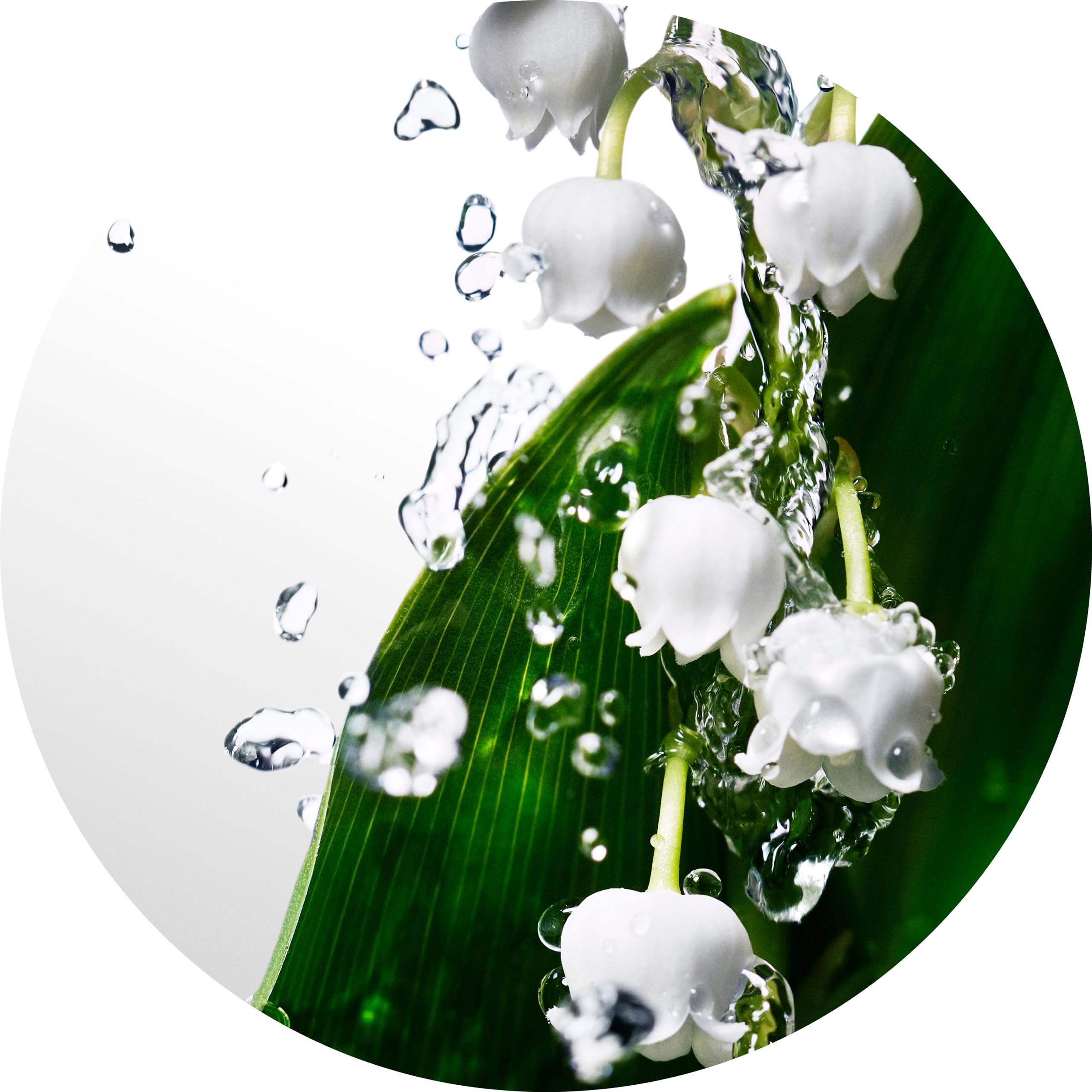 Coolwater By Davidoff Scent Fresh Floral For Women EDT 1 oz - Thumbnail 2