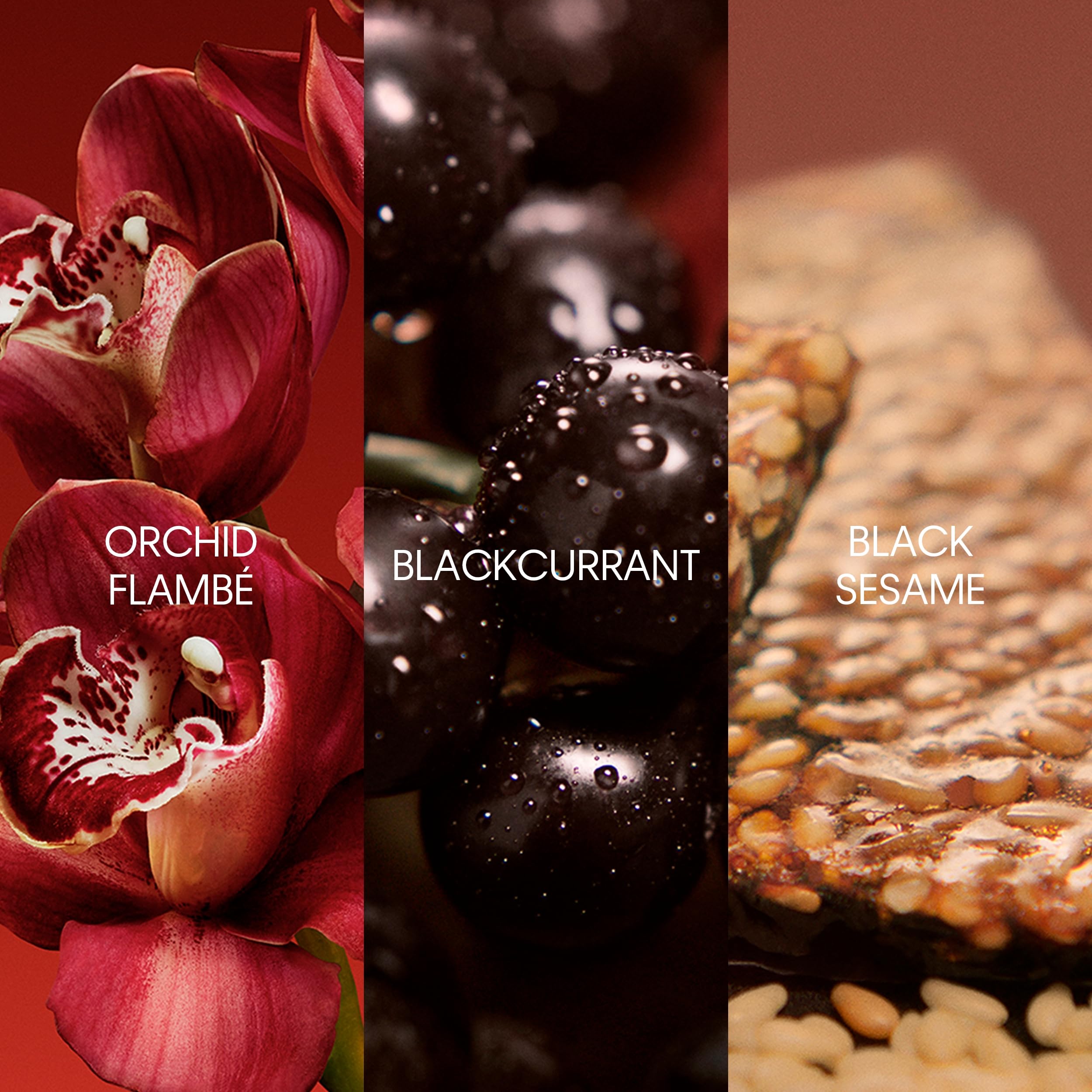 Calvin Klein Ladies My Euphoria Fragrances 3616304478260 EDP 1.01 oz - Thumbnail 3