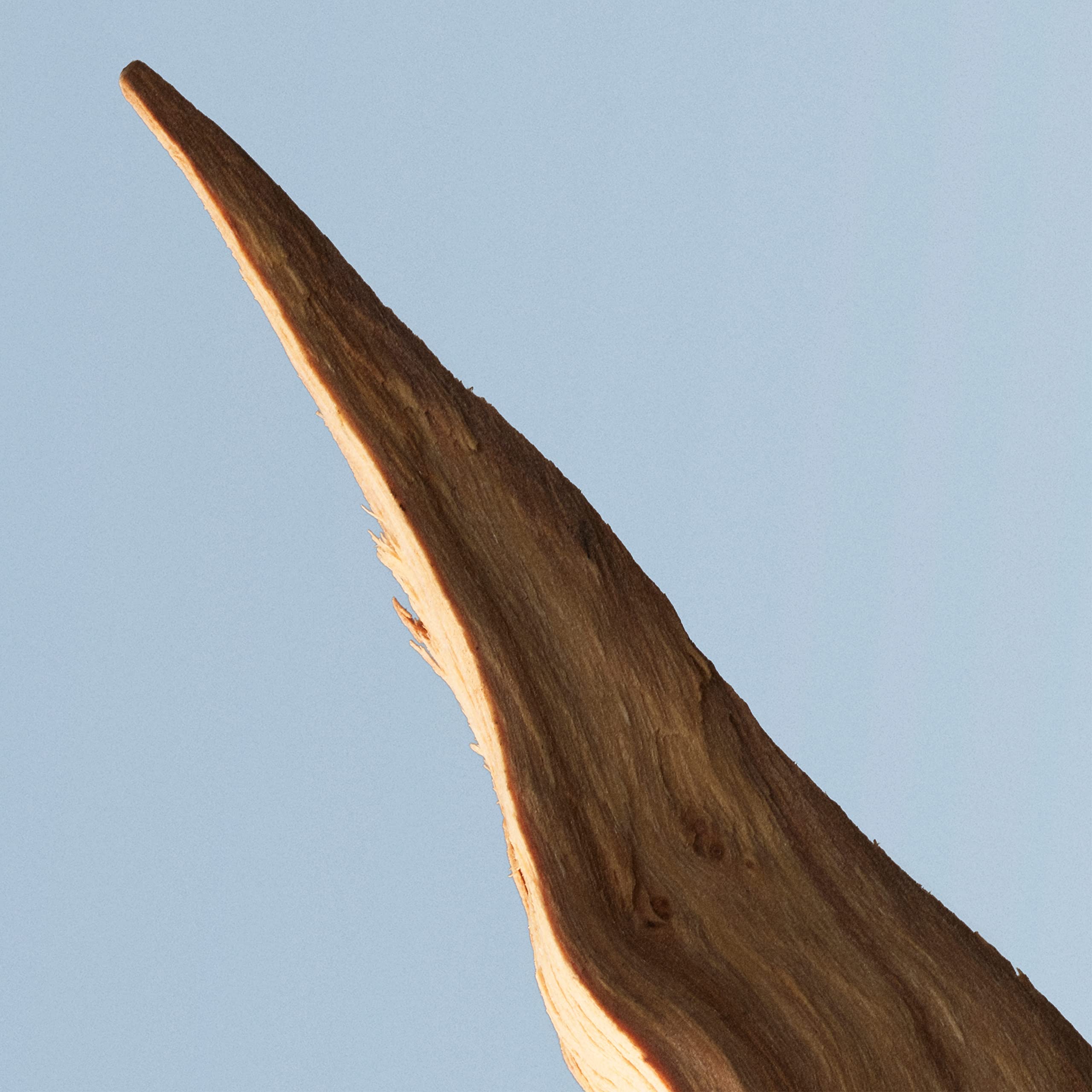 Hugo Boss Bottled Tonic Notes of Apple Ginger Rich Wood Luxury Perfumes For Men - Thumbnail 2