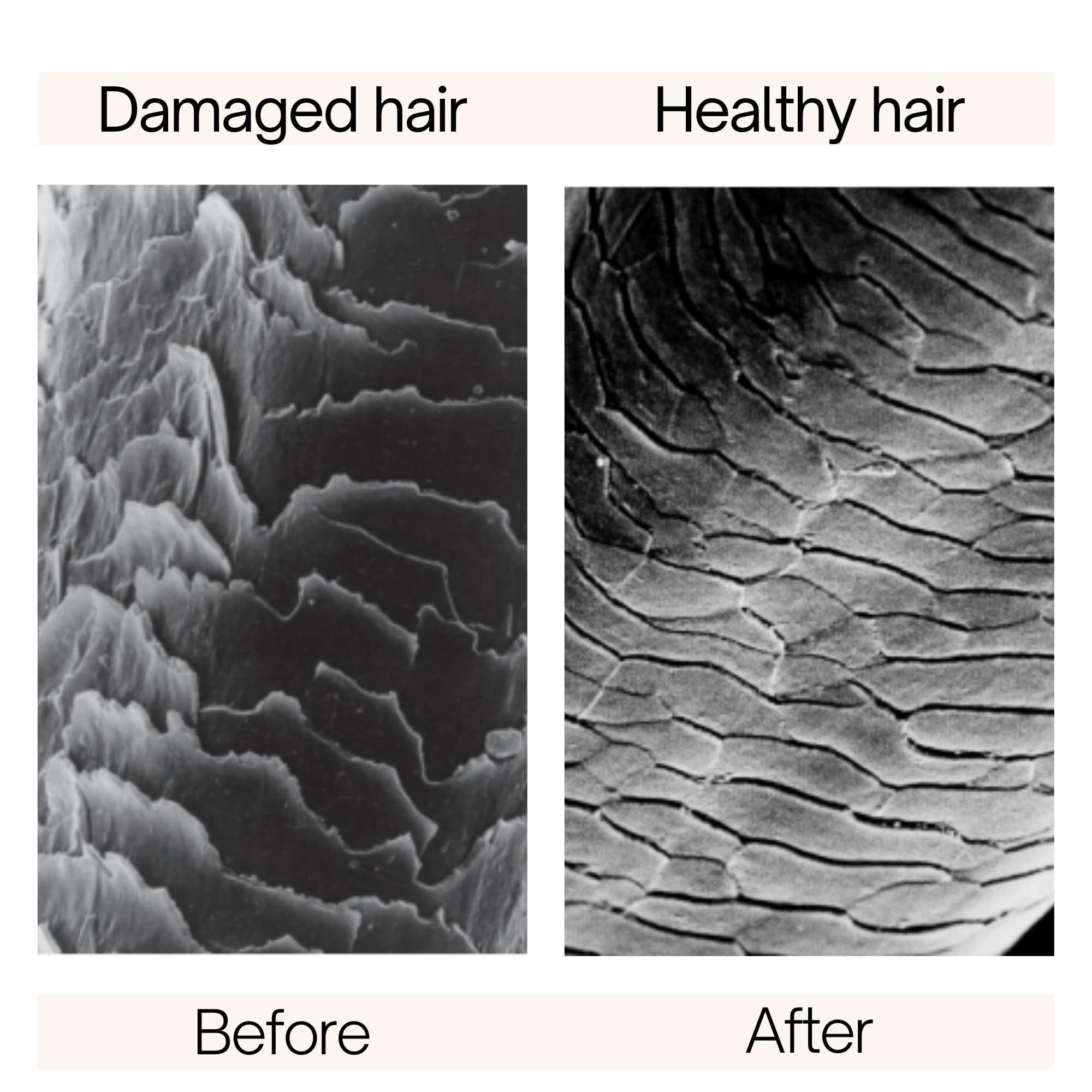 Xs Pure 1.7 L Spain 20pcs Bybox EDP - Thumbnail 3