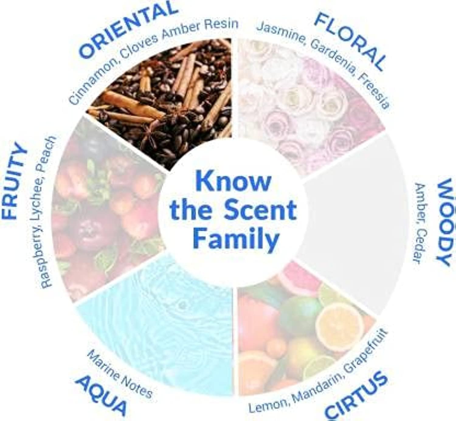 Jaguar Black 3.4 M France 27pcs Bybox EDT - Thumbnail 3