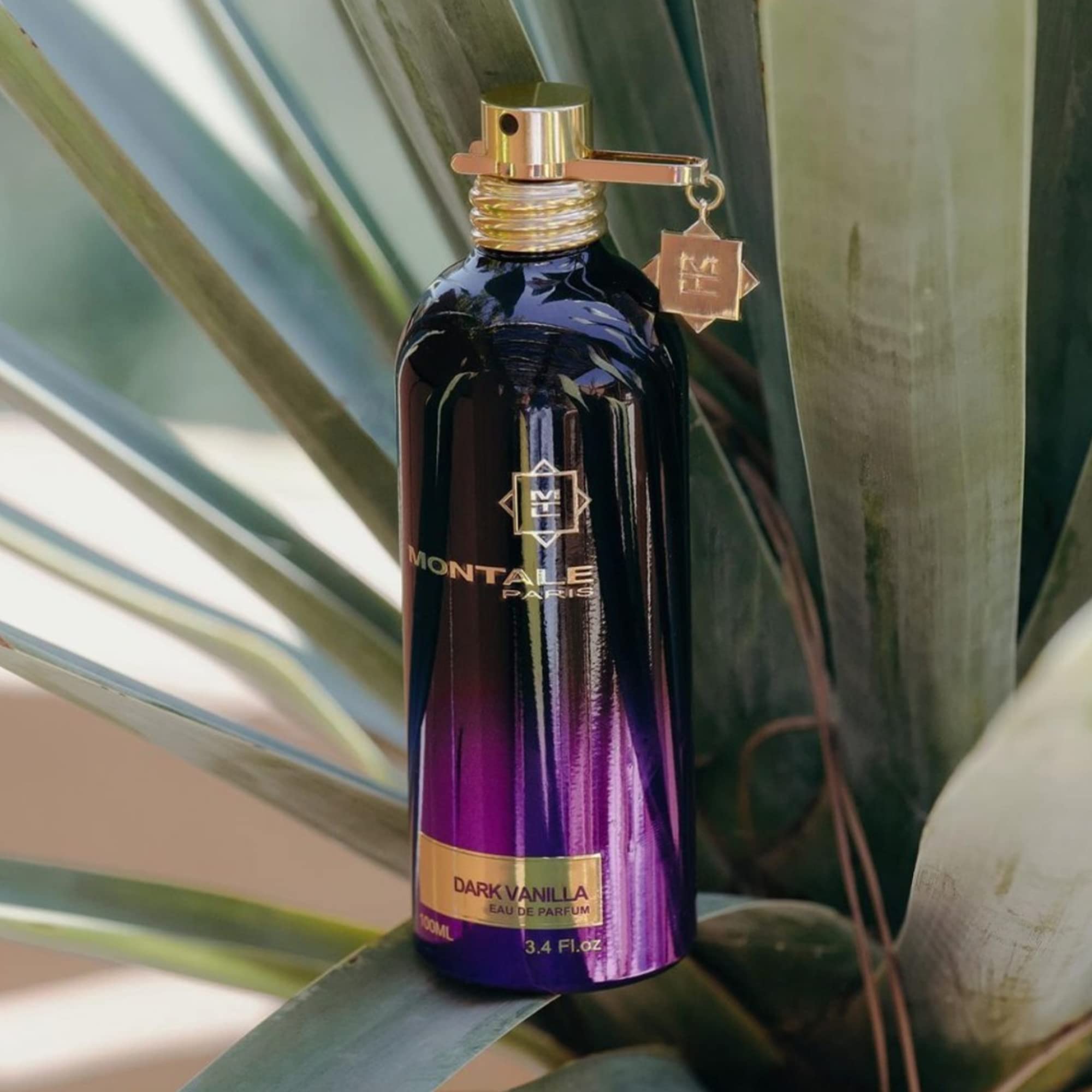 Montale Dark Purple EDP 3.3 oz - Thumbnail 3