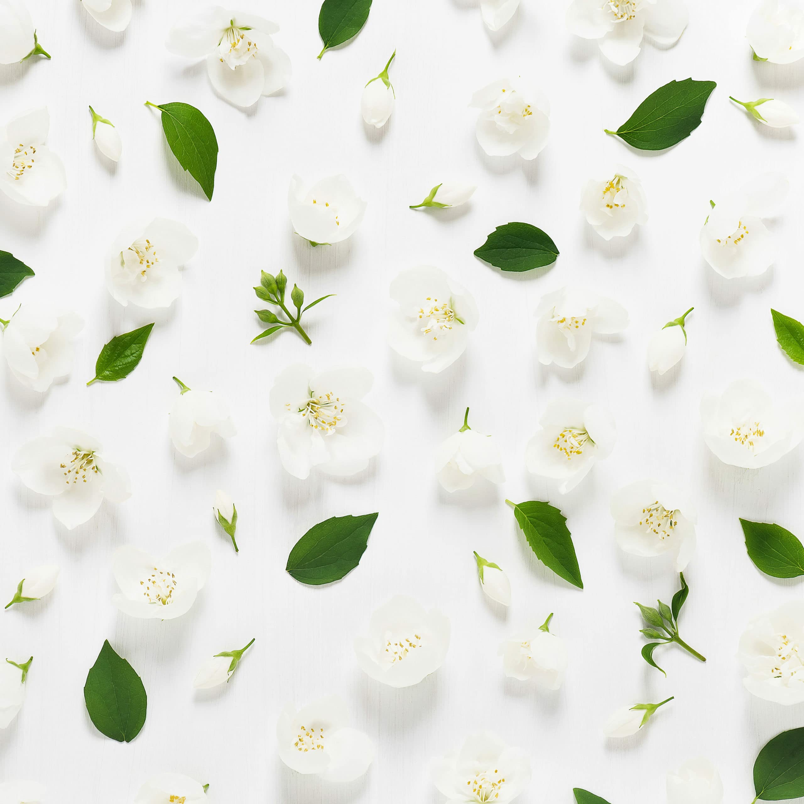 [Set] Eau My Planet 3.4 + Rausable Water Bottle 4pcs Bybox EDT - Thumbnail 3