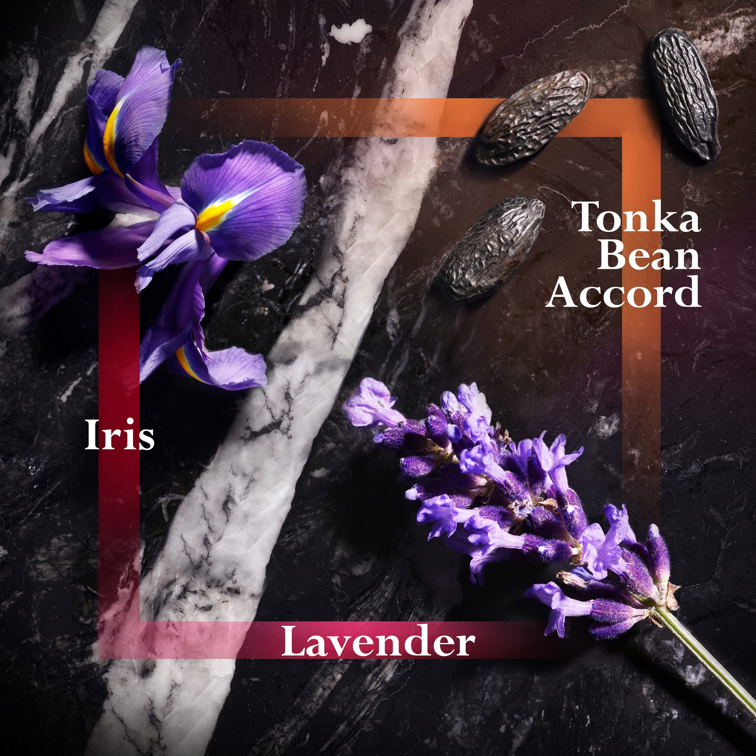 Joop! Homme Le Parfum 2.5 Fl Oz. For Men - Thumbnail 3