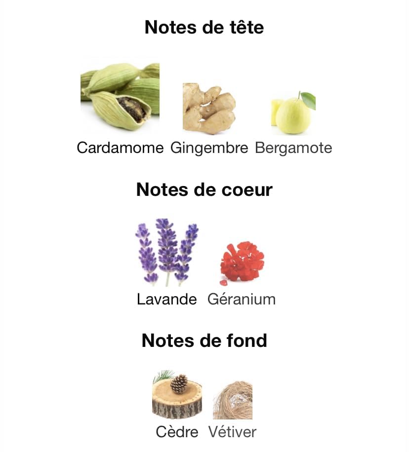 World Jack of Clubs 2.7 U United Arab Emir. 48pcs Bybox EDP - Thumbnail 2