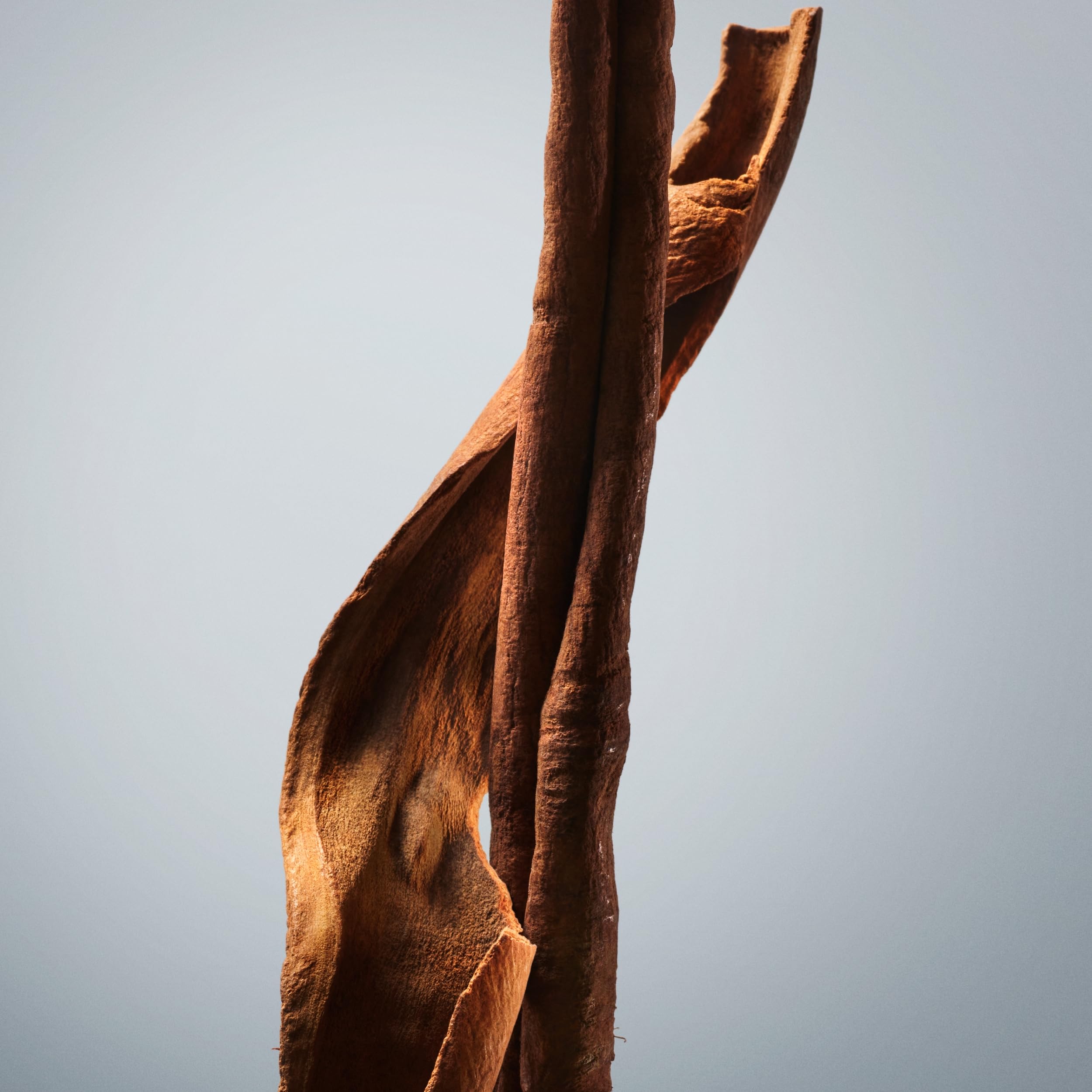 [Deodorant] Hugo Boss Boss Bottled Deodorant Stick With Notes of Apple Cardamom Vetiver . - Thumbnail 3