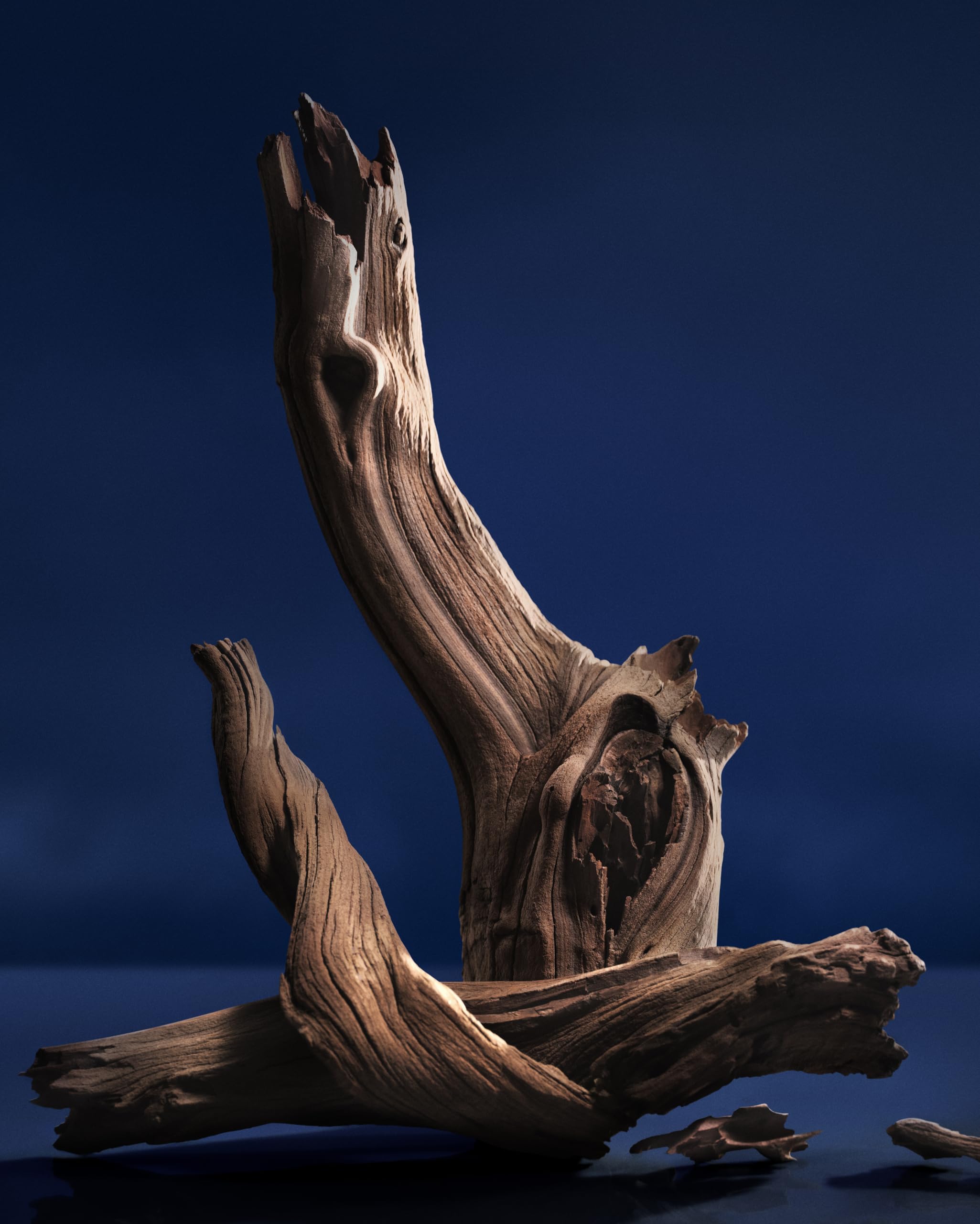 Ralph Lauren Polo 67 Woody Scent With Pineapple Cedarwood Benzoin Cologne 2.5 - Thumbnail 3