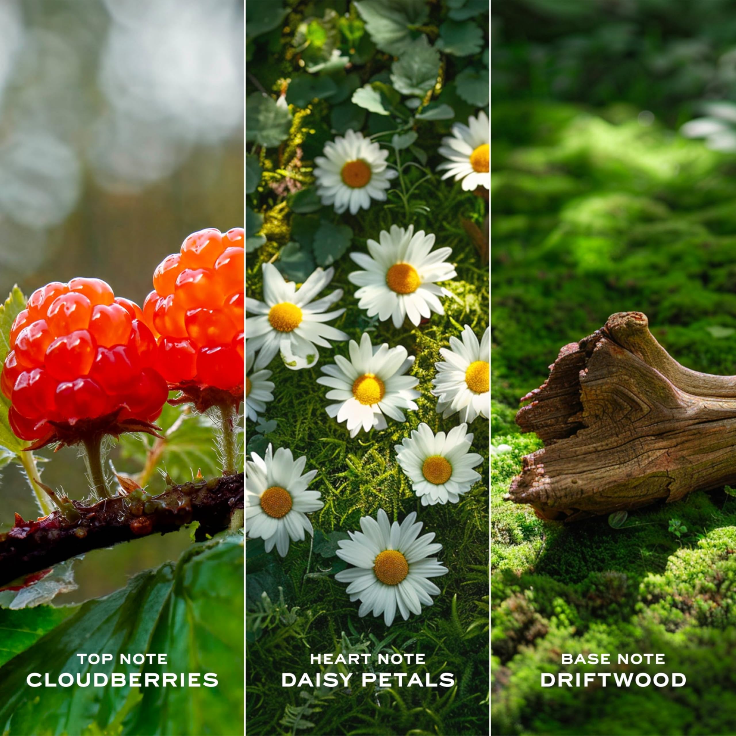 Daisy Love For Women EDT 1.7 oz - Thumbnail 3