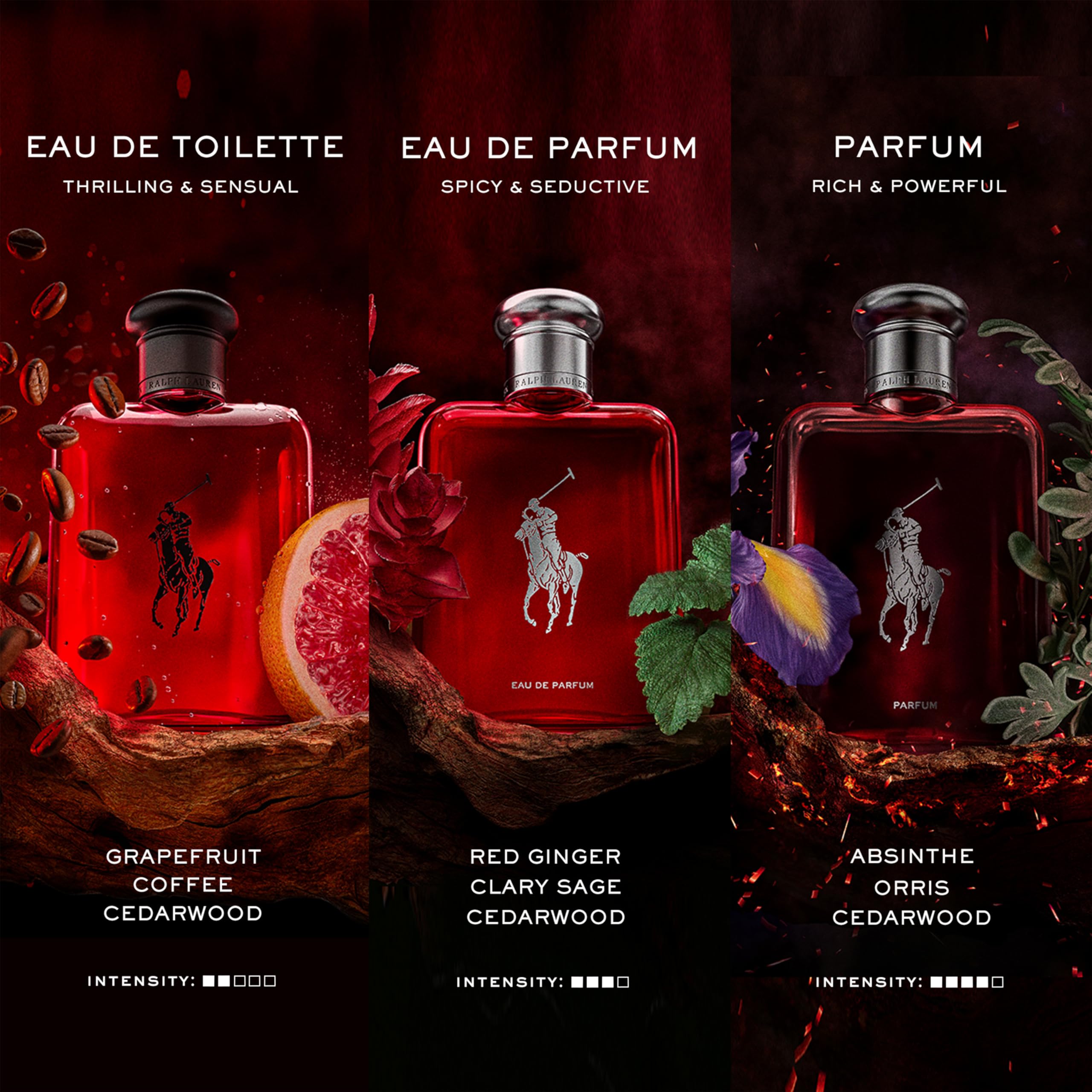 Ralph Lauren Fragrances Polo Red - Thumbnail 2