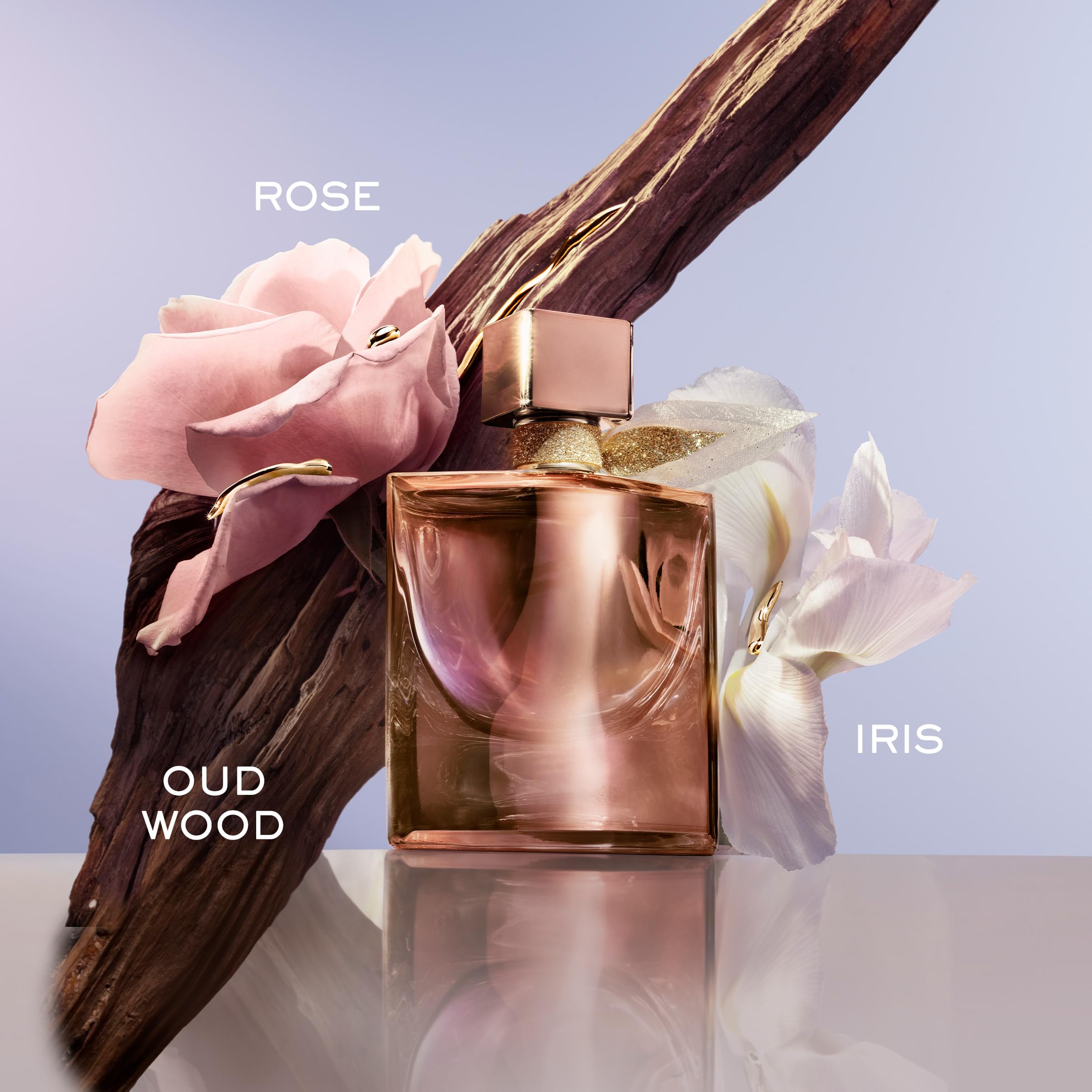 La Vie Est Belle Gold L'extrait 1.7 L EDP - Thumbnail 2