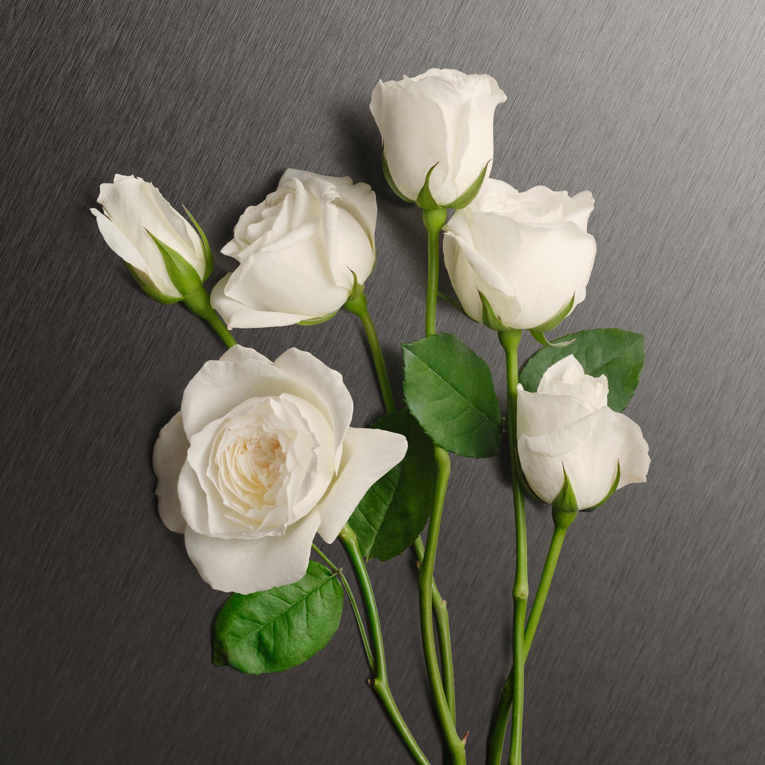 [Body Lotion] Eternity 6.7 B/l L Usa 1pcs Bybox - Thumbnail 3