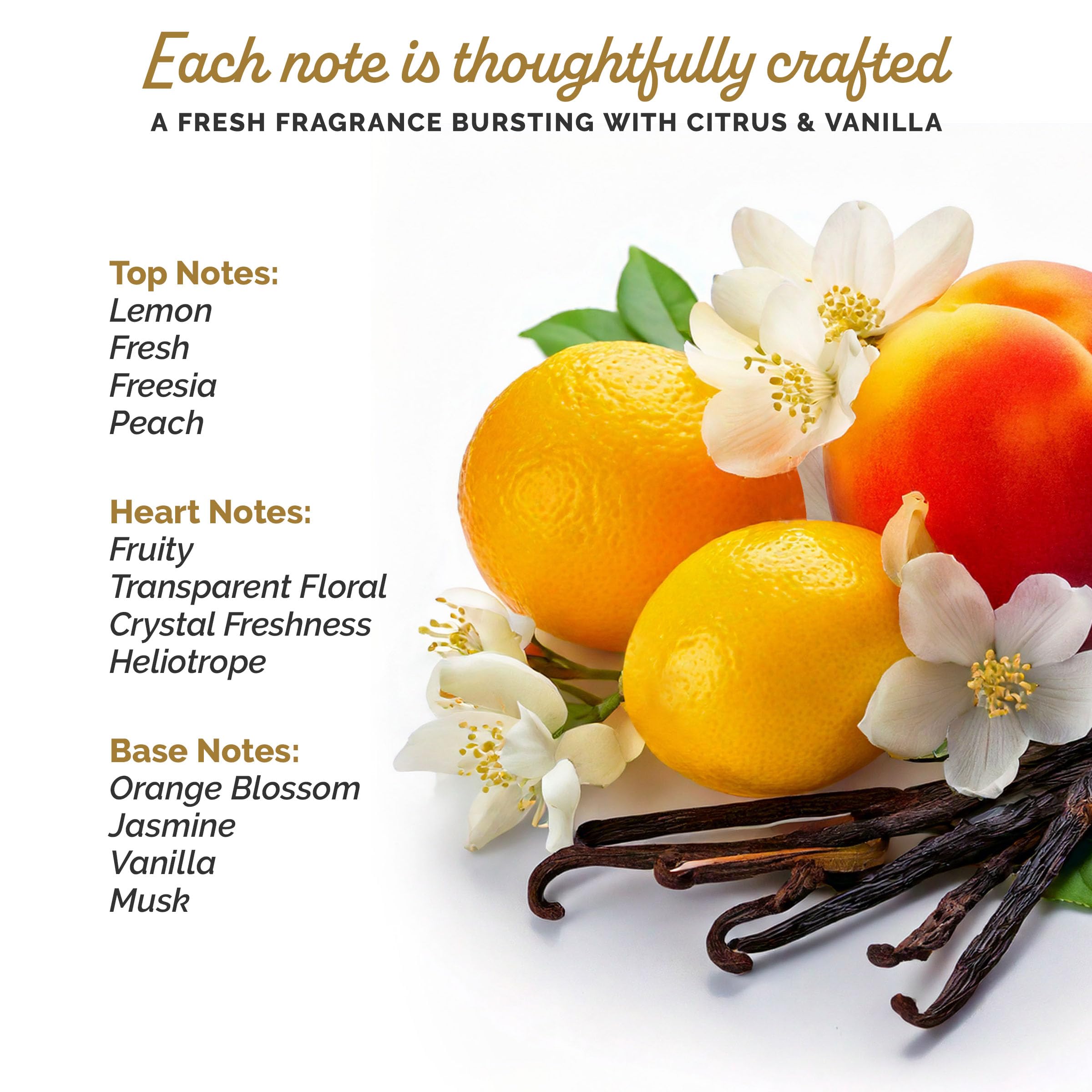 Sophie la Girafe 1.7 U + Teething Ring France 36pcs Bybox EDT - Thumbnail 3