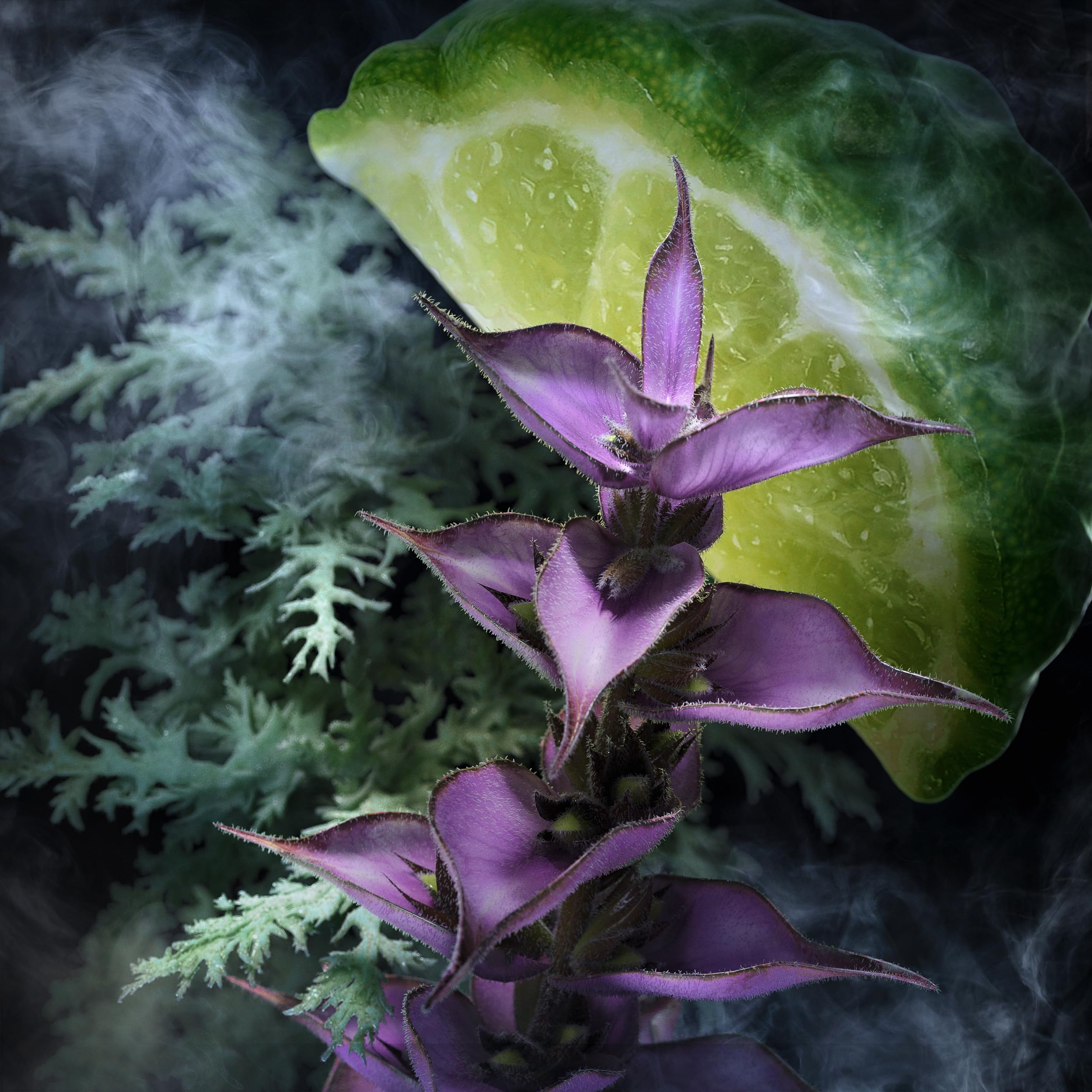 Davidoff Champion Woody Cologne With Notes of Bergamot Clary Sage Oakmoss For - Thumbnail 3