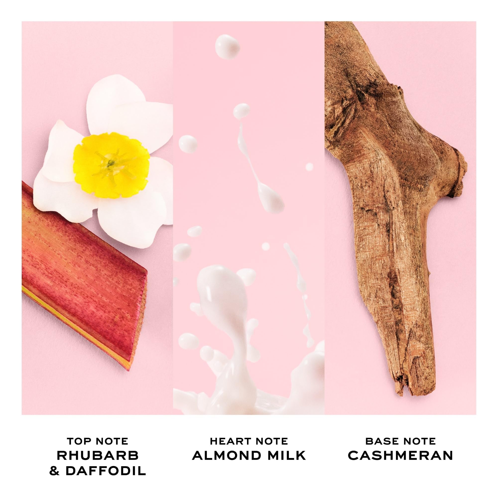 [Body Lotion] Perfect 5.0 B/l Monaco 40pcs Bybox - Thumbnail 3