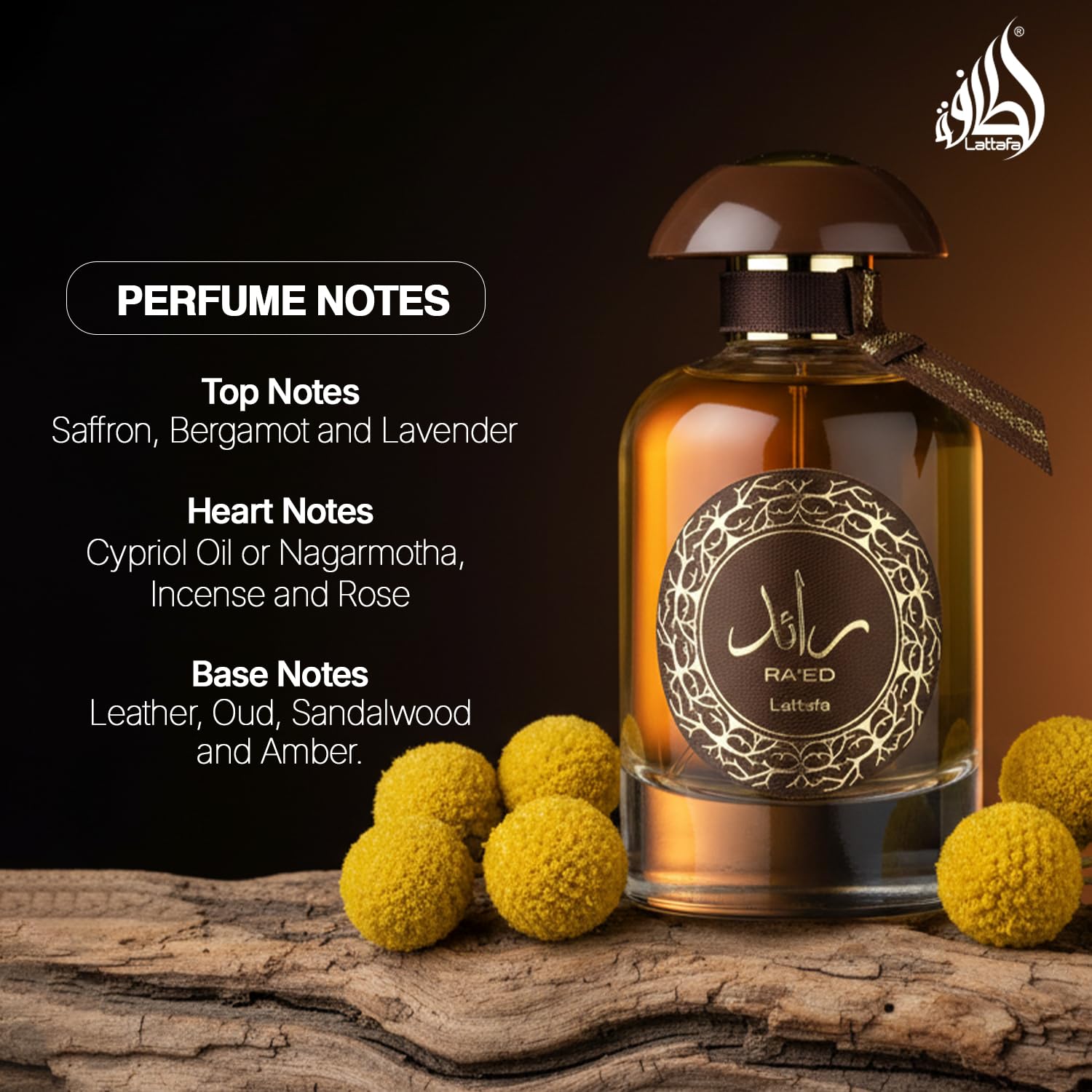 Lattafa Perfumes Ra'ed Oud for Unisex Unisex EDP 3.4 oz - Thumbnail 3