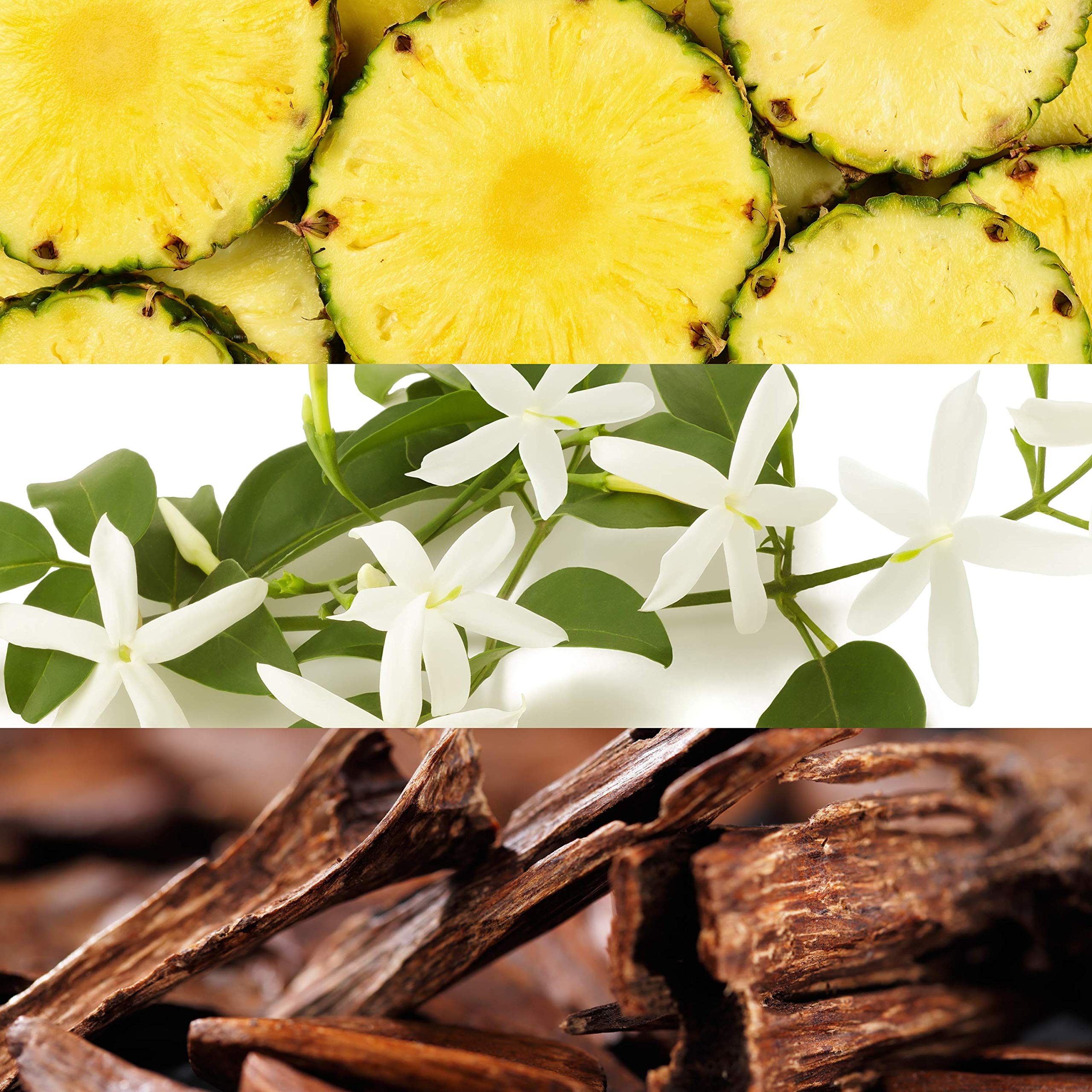 Lacoste Rose Eau Fraiche 1.7 L France 25pcs Bybox EDT - Thumbnail 2