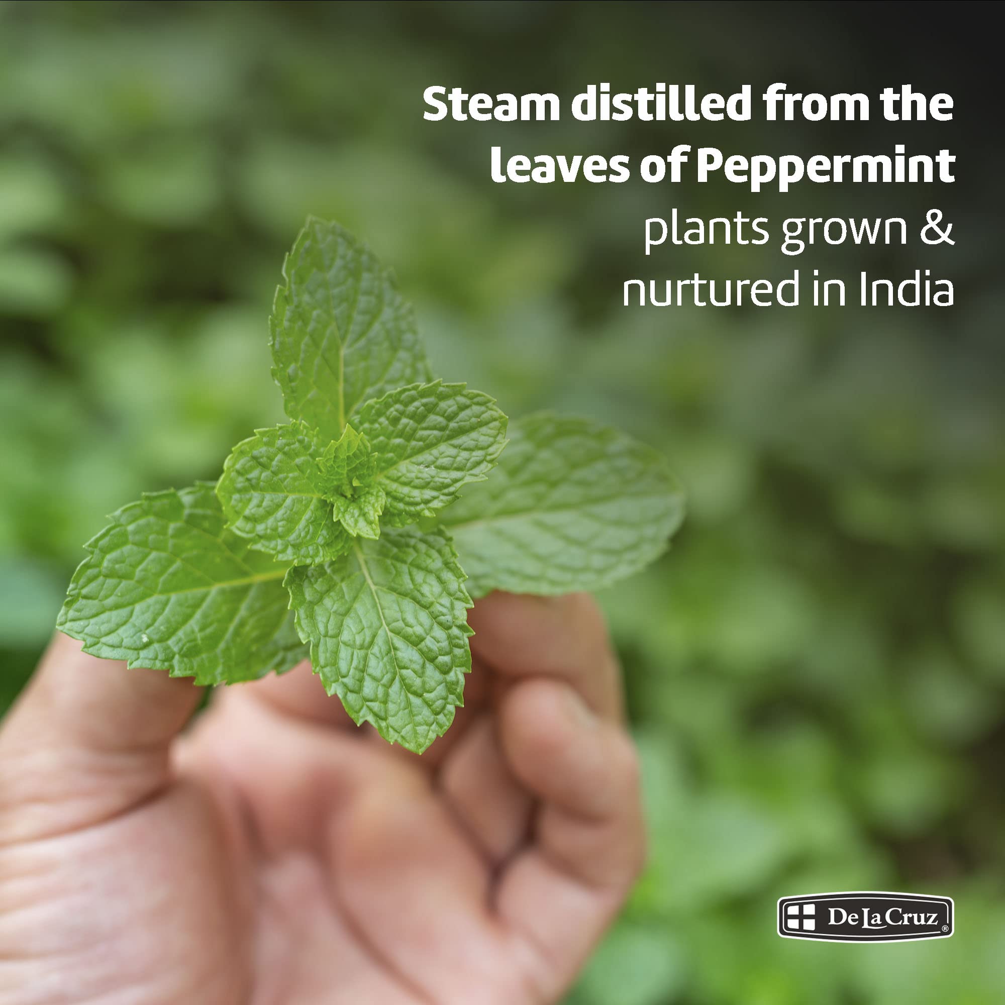 De la Cruz Peppermint Essential Oil 100% Peppermint Oil for Aromatherapy Steam - Thumbnail 2