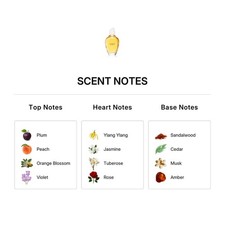 [Tester] Amarige 3.4 L Tst No Cap France 24pcs Bybox EDT - Thumbnail 2