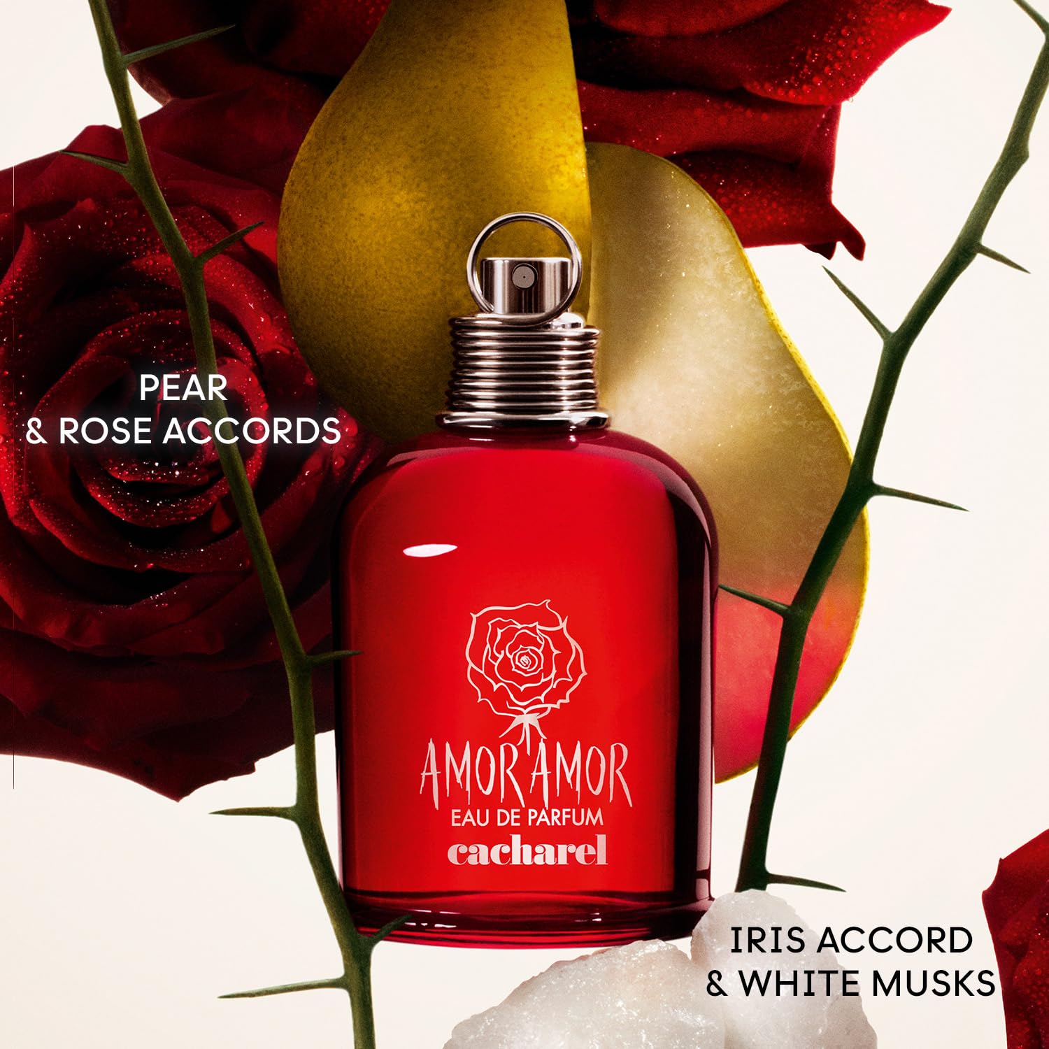 Amor Amor 3.4 L France 20pcs Bybox EDP - Thumbnail 3