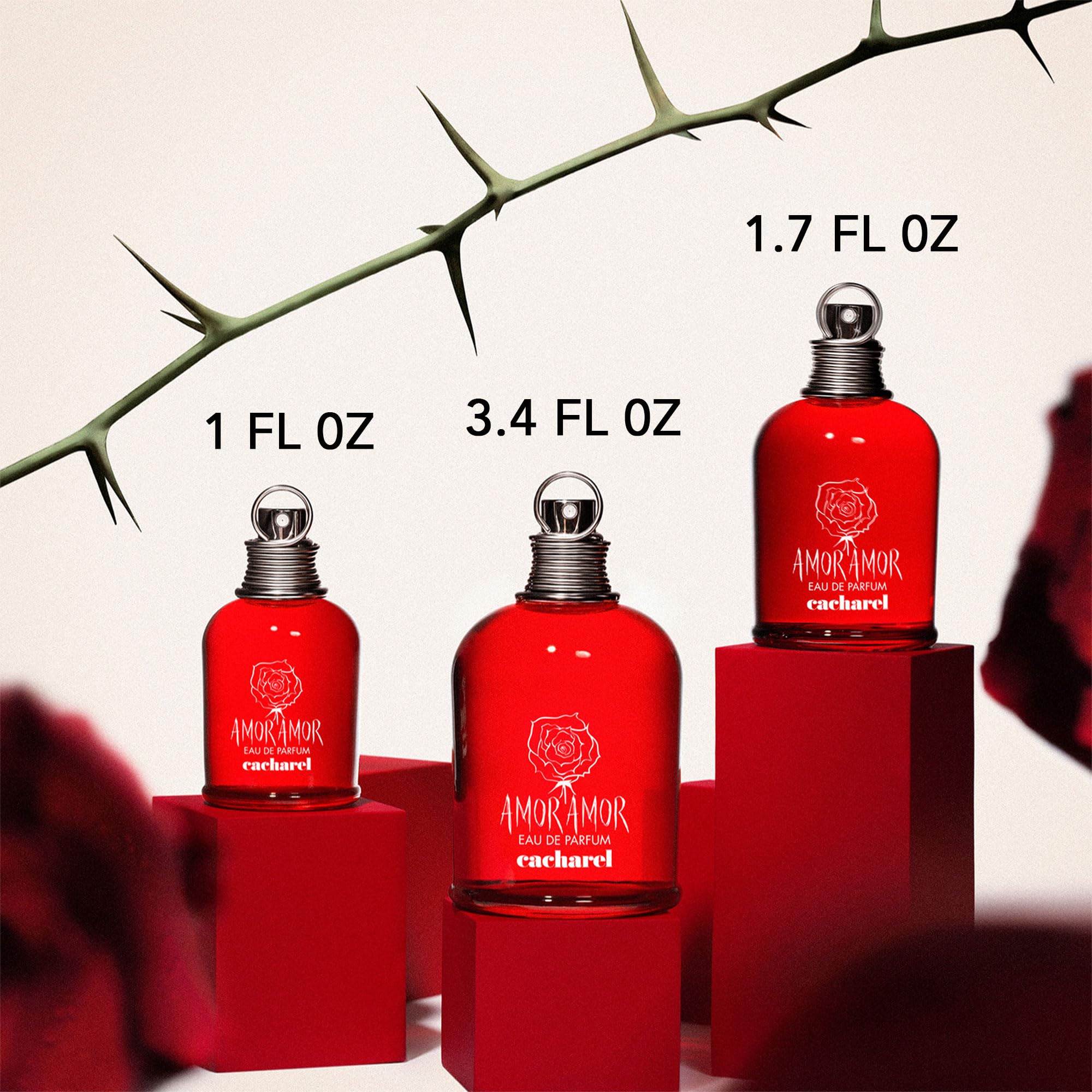 Amor Amor 3.4 L France 20pcs Bybox EDP