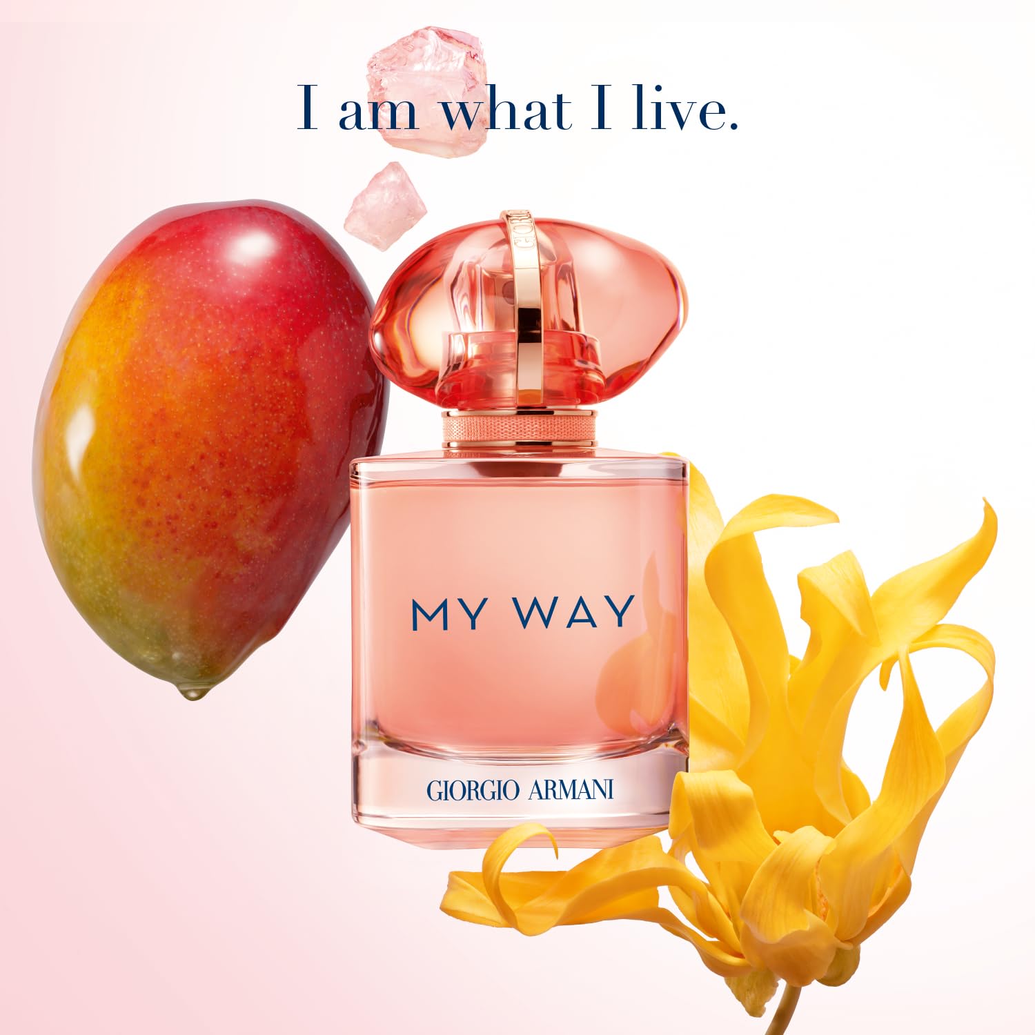 Armani Beauty My Way Ylang Floral Fruity Mango Accord Coconut Water Accord - Thumbnail 3