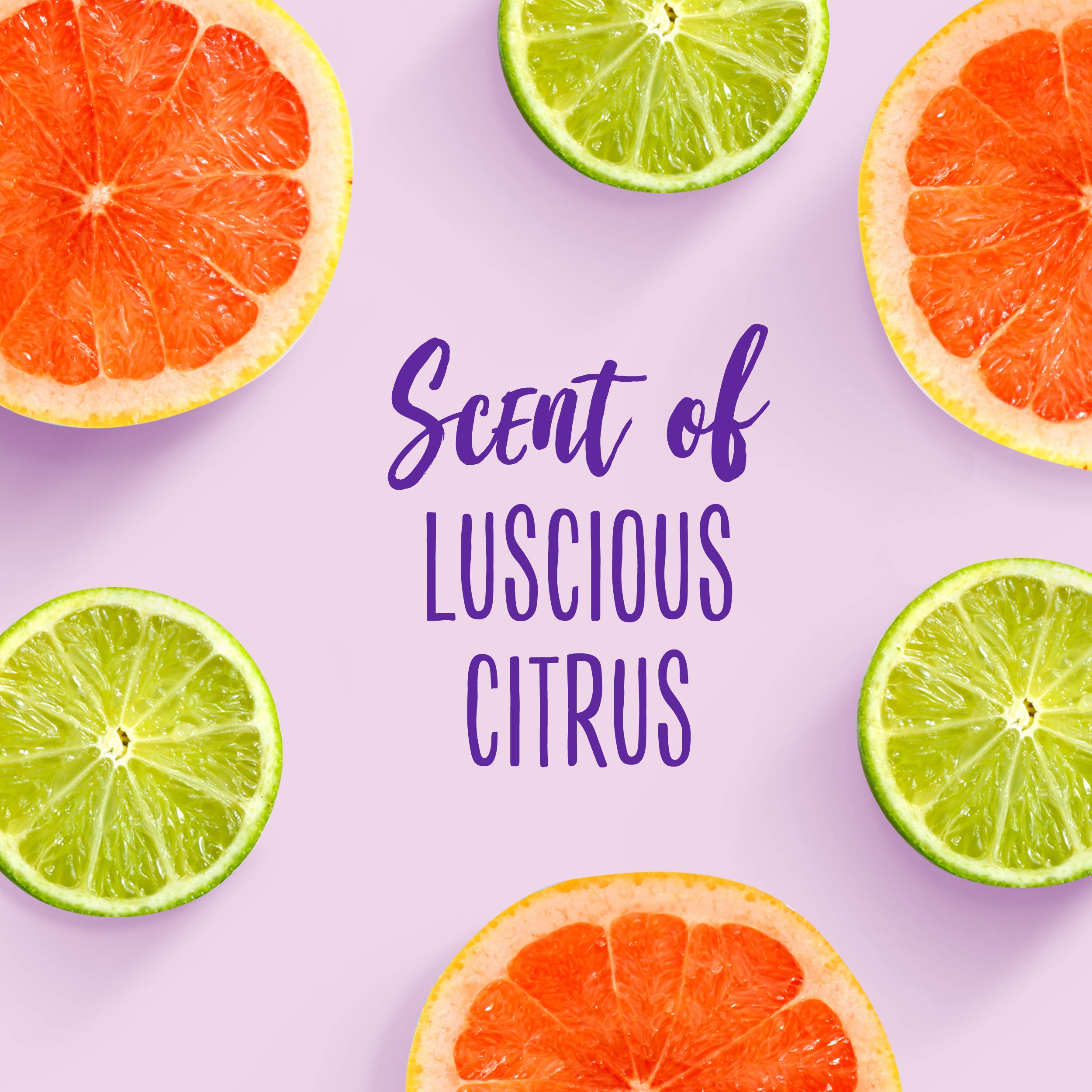 Paraben Free Total Miracle Conditioner W/ Apricot for Hair Damage 12.1 Fl Oz - Thumbnail 3