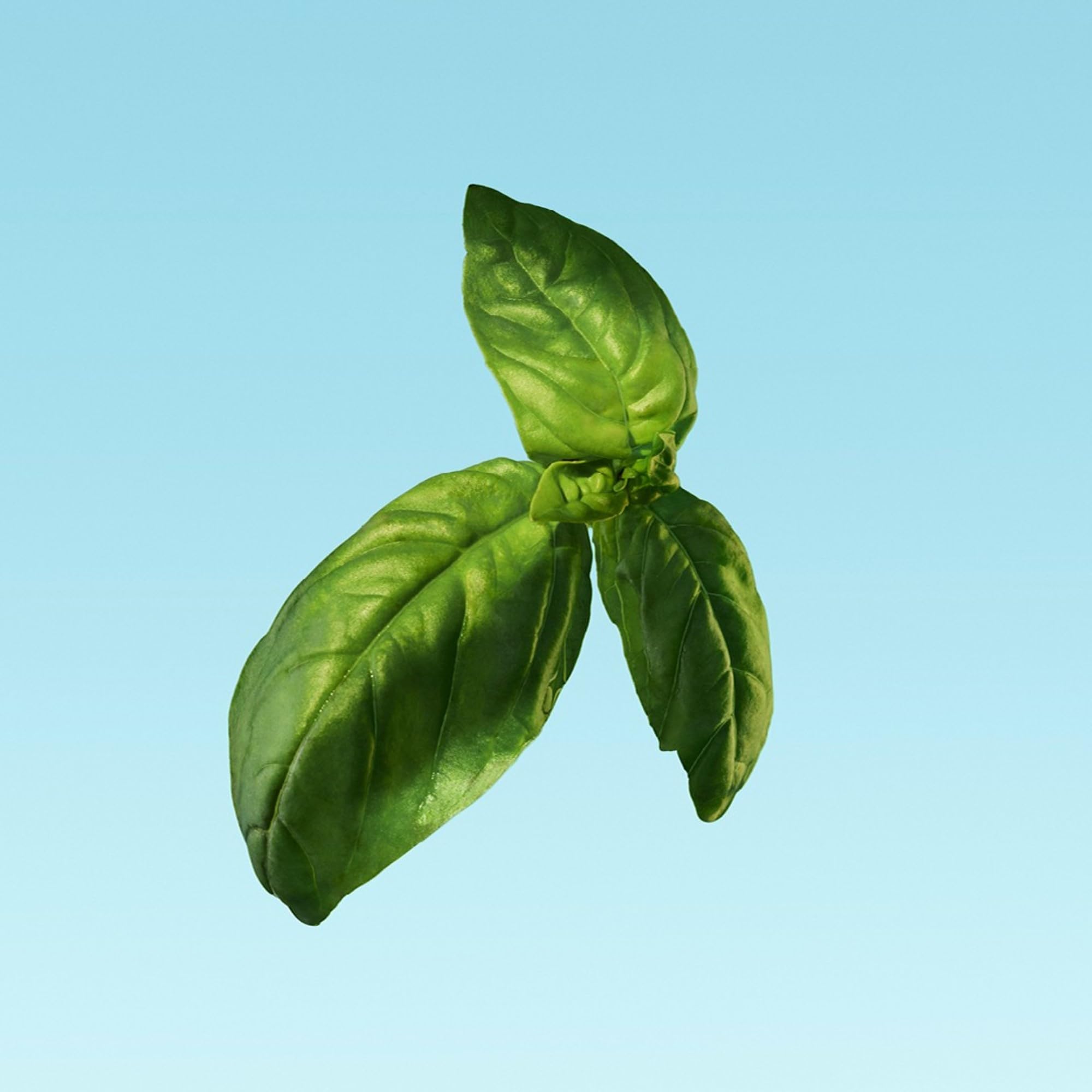 [Deodorant] Calvin Klein Eternity Aqua Deodorant With Notes of Cucumber Sage Sandalwood 5.3 - Thumbnail 3